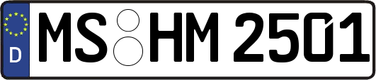 MS-HM2501