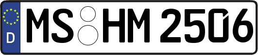 MS-HM2506