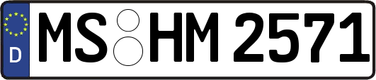 MS-HM2571