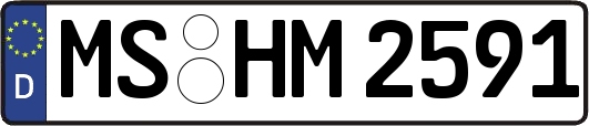 MS-HM2591