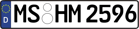MS-HM2596