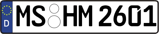 MS-HM2601