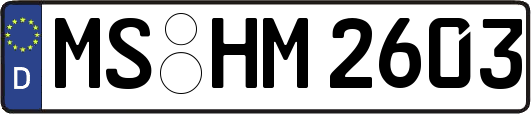 MS-HM2603