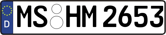 MS-HM2653