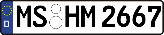 MS-HM2667