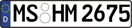 MS-HM2675