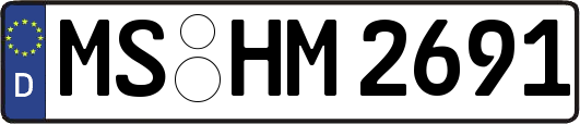 MS-HM2691