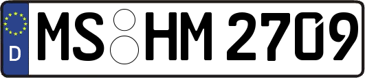MS-HM2709