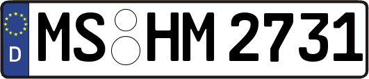 MS-HM2731