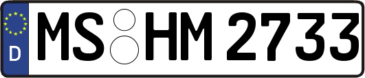 MS-HM2733