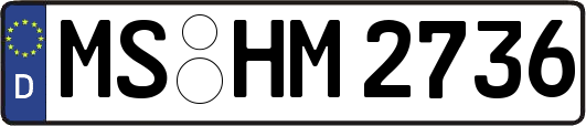 MS-HM2736