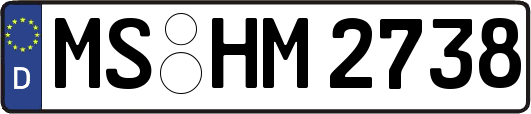 MS-HM2738