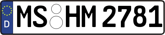 MS-HM2781