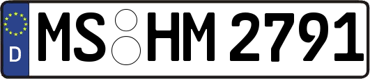 MS-HM2791