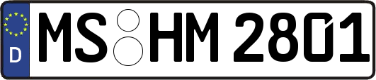 MS-HM2801