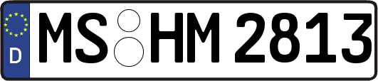 MS-HM2813