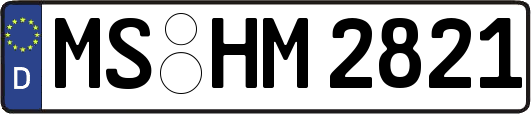 MS-HM2821