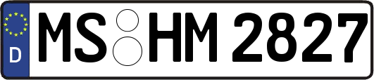 MS-HM2827