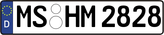 MS-HM2828