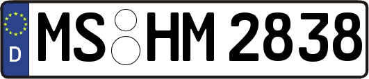 MS-HM2838