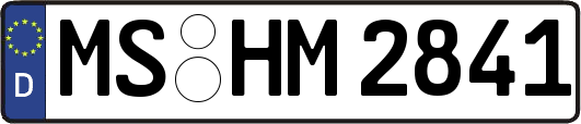 MS-HM2841