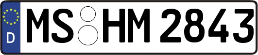 MS-HM2843