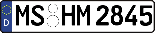 MS-HM2845