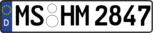 MS-HM2847