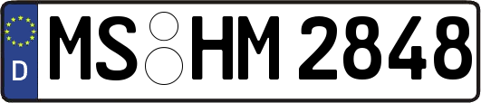 MS-HM2848