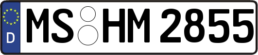 MS-HM2855