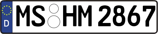 MS-HM2867