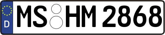 MS-HM2868