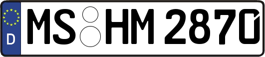 MS-HM2870