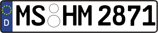 MS-HM2871