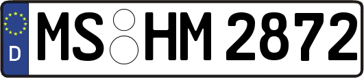 MS-HM2872