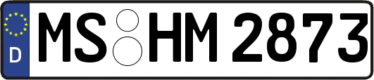 MS-HM2873