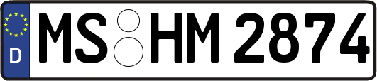 MS-HM2874