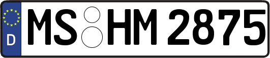 MS-HM2875