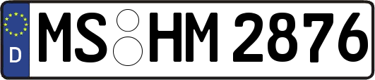 MS-HM2876