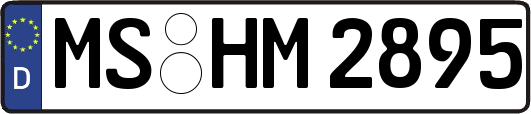 MS-HM2895