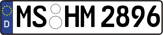 MS-HM2896