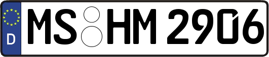 MS-HM2906
