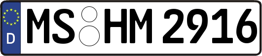 MS-HM2916