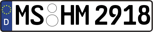 MS-HM2918