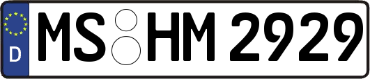 MS-HM2929