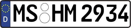MS-HM2934