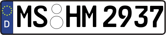 MS-HM2937