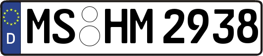 MS-HM2938