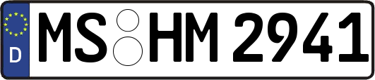 MS-HM2941