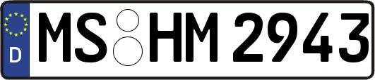 MS-HM2943